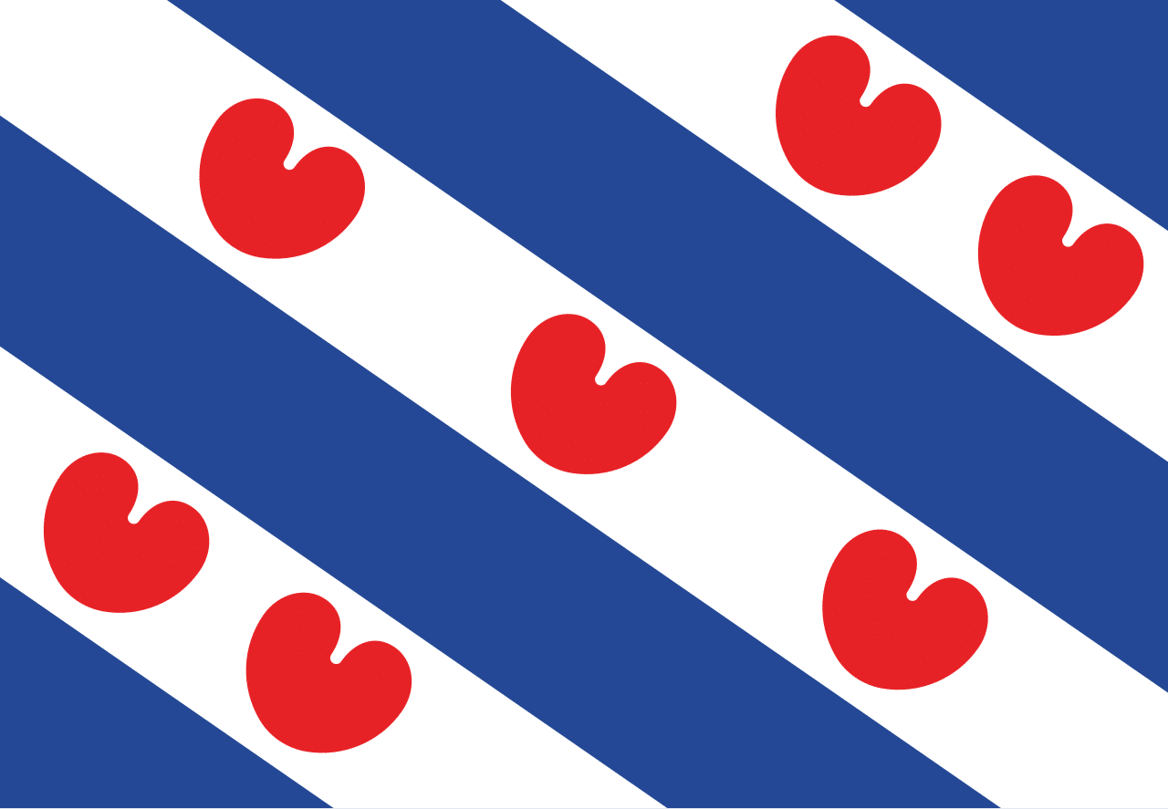 Computerhulp aan huis in Friesland door Computer Service Noord