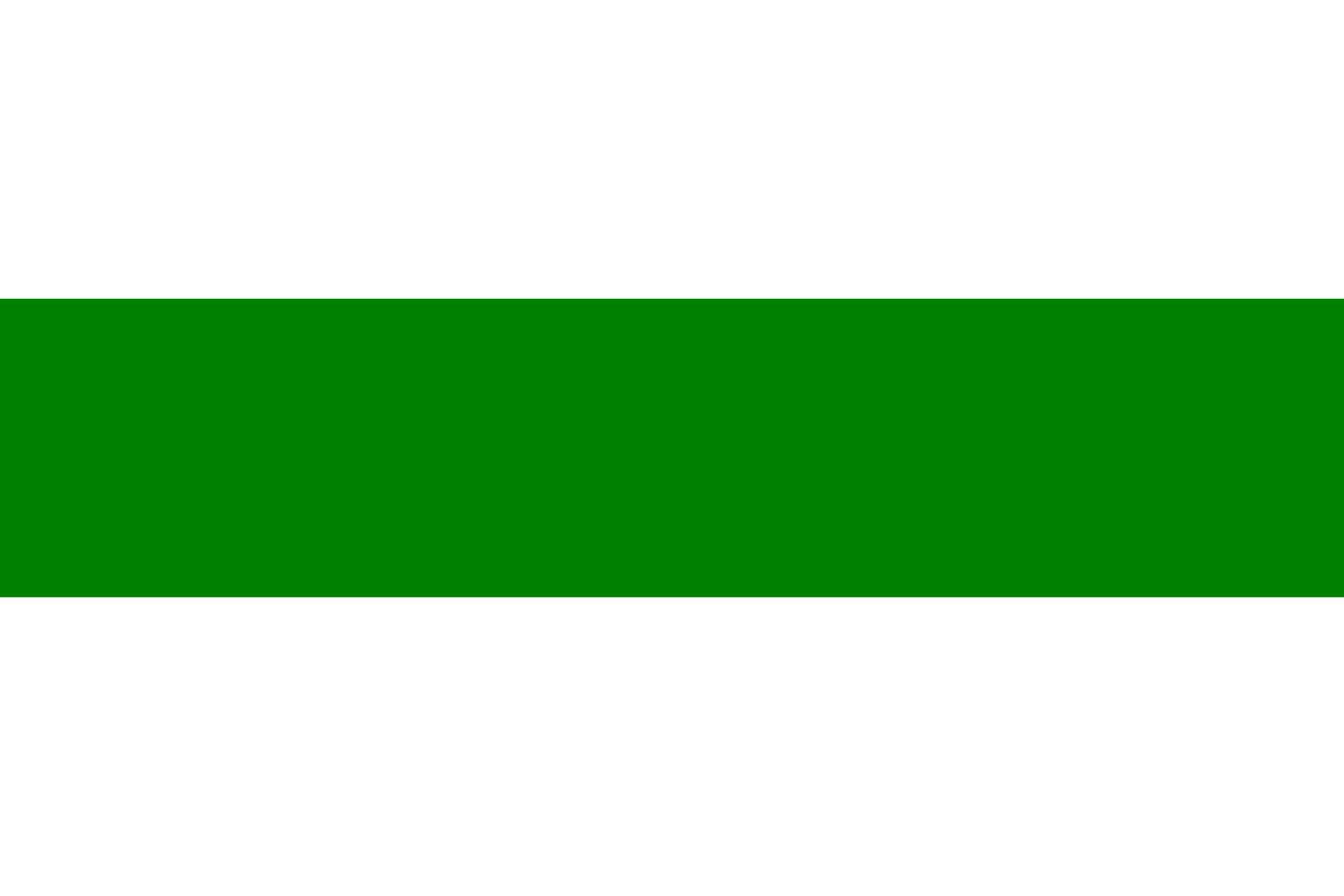 Computerhulp aan huis in Groningen door Computer Service Noord (CS Noord)